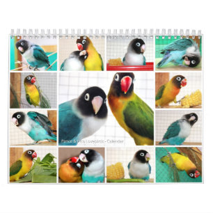 Calendário Lovebirds das Moedas de um centavo-Pico