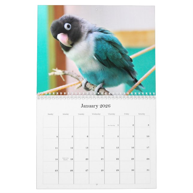 Calendário Lovebirds das Moedas de um centavo-Pico (Jan 2026)