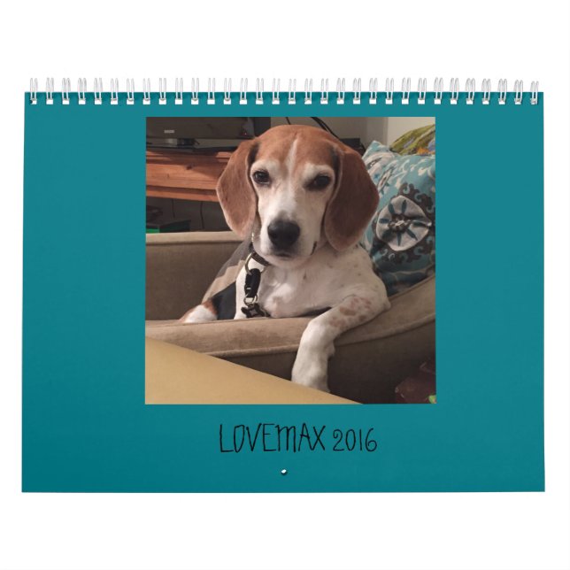 CALENDÁRIO LOVEMAX 2016 (Capa)