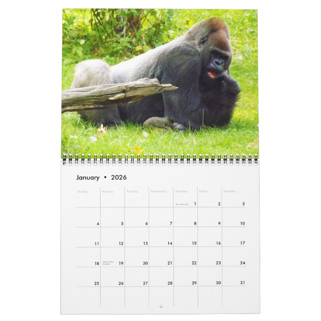 Calendário Lowland Gorillas do Jardim Zoológico de Kansas Cit (Jan 2026)