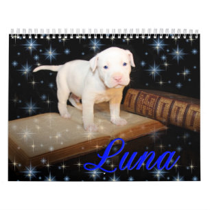 Calendário Luna o cão de filhote de cachorro abandonado