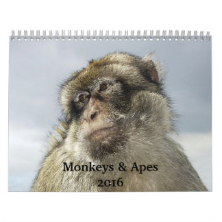 Calendário Macacos e Macacos 2016