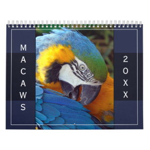 Calendário Macaw Papagaio Azul Escarlate Dourado Hyacinth 202