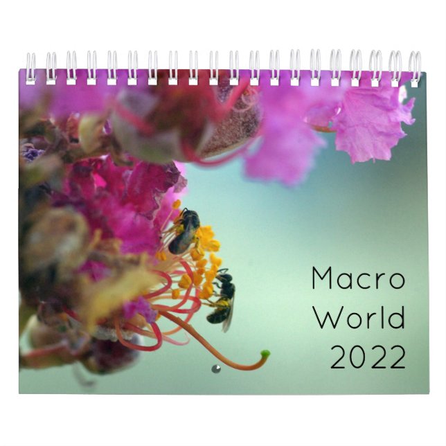 Calendário Macro World 2022 (Capa)