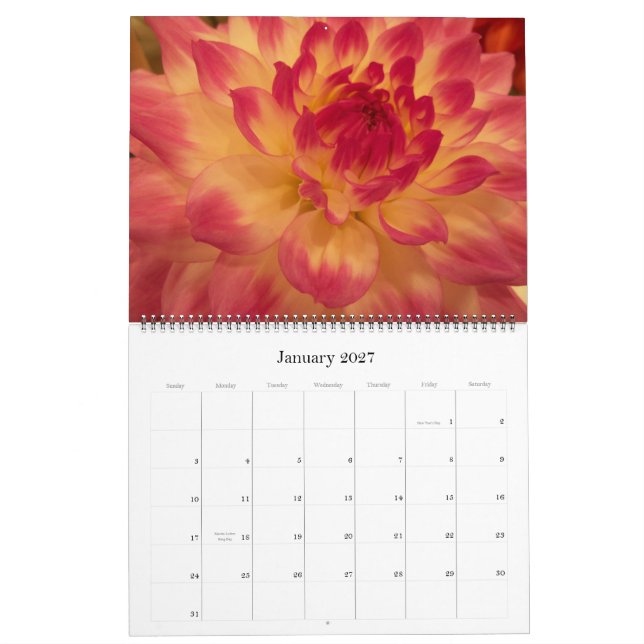 Calendário Mães & dálias 2012 (Jan 2027)