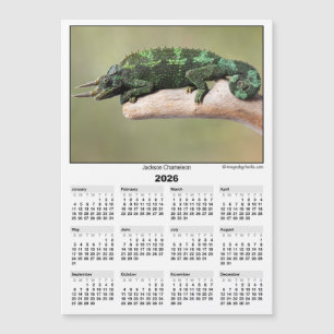 Calendário Magnético 2026 5x7 Camaleão de Jackson