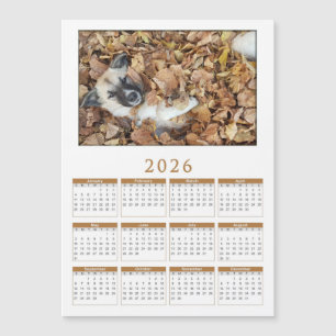calendário magnético 2026 com seus animais