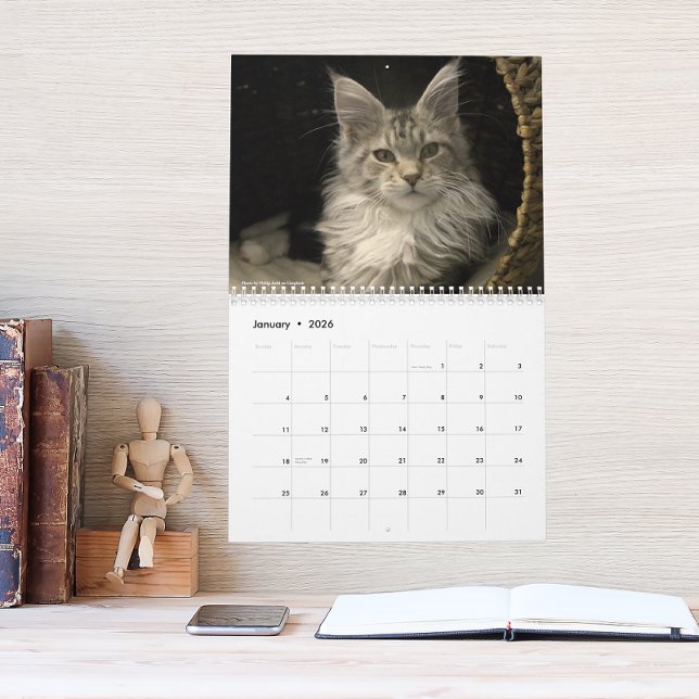 Calendário Maine Coon Cats | Main Coon Life (Criador carregado)