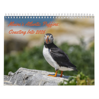 Calendário Maine’s Atlantic Puffins: Coasting Into 2026