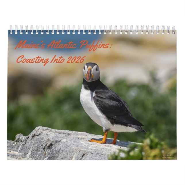 Calendário Maine’s Atlantic Puffins: Coasting Into 2026  (Capa)