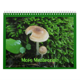 Calendário - Mais Cogumelos