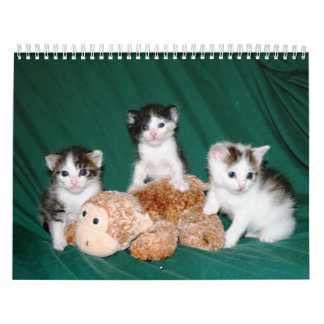 Calendário Mais gatinhos!