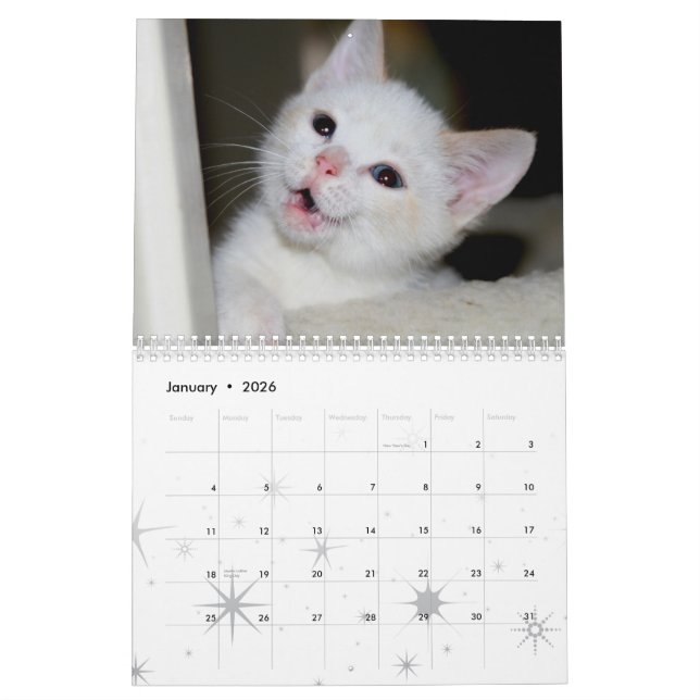 Calendário Mais gatinhos! (Jan 2026)