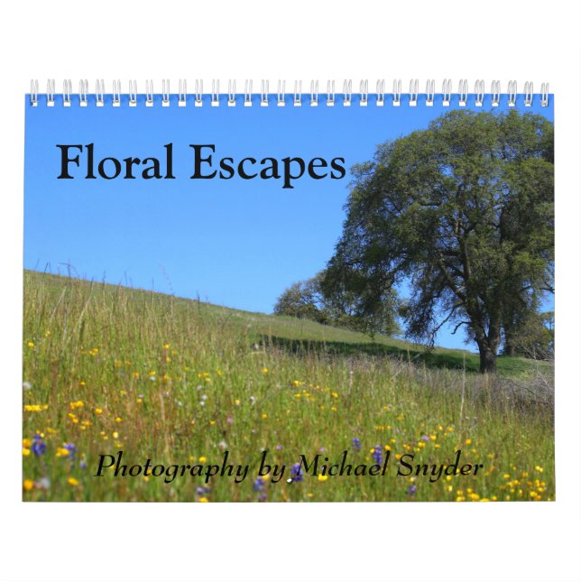 Calendário Mais Lento (Capa)