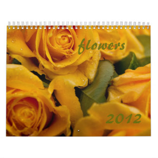 Calendário mais rápido 2012