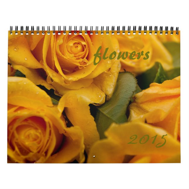 Calendário mais rápido 2015 (Capa)