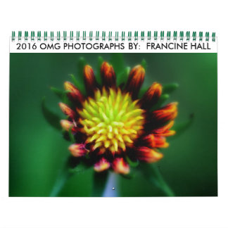 Calendário mais rápido 2016