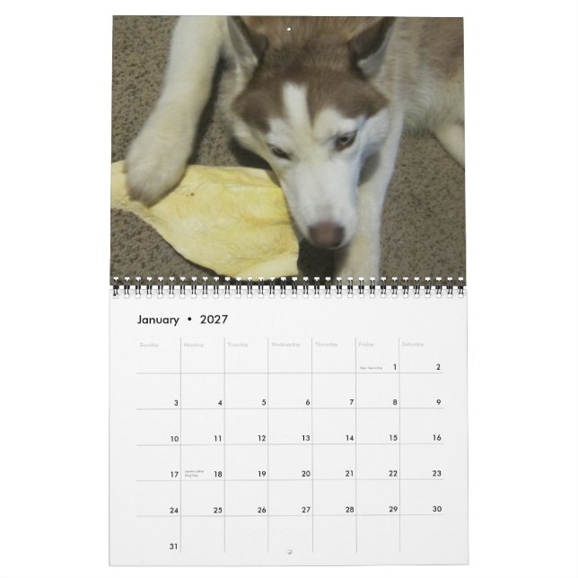 Calendário Malha siberiana crescendo (Jan 2027)