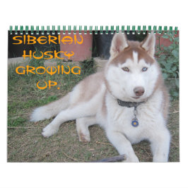 Calendário Malha siberiana crescendo