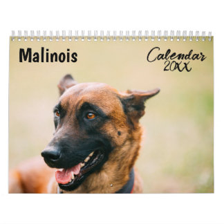 Calendário Malinois 2026