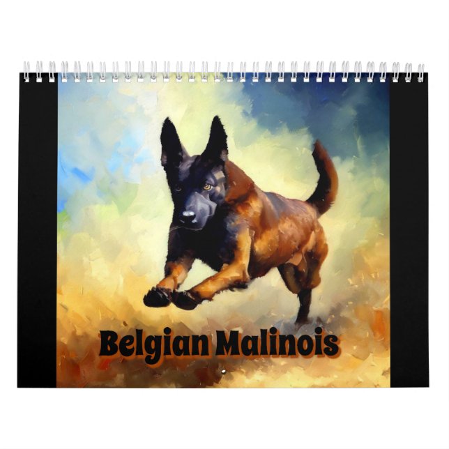 Calendário Malinois belgas (Capa)