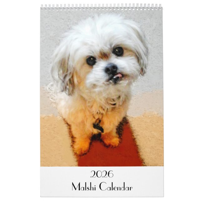 Calendário Malshi 2026 Personalizável (Capa)