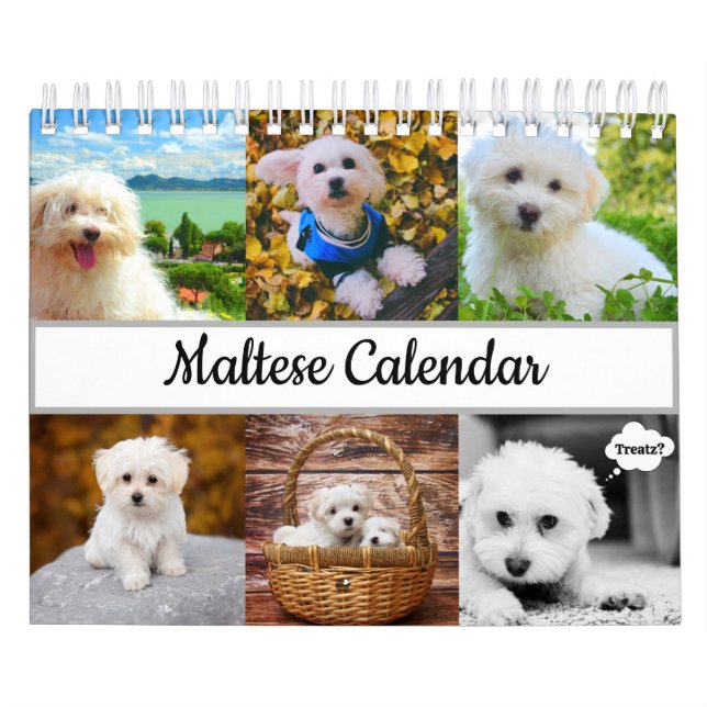 Calendário maltês (Capa)