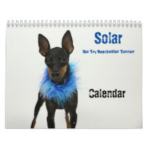 Manchester Terrier Calendar 2021 B