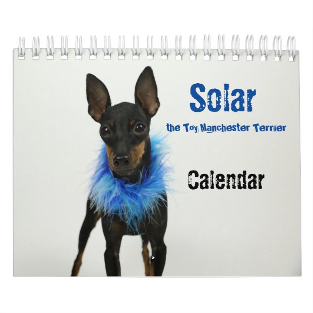 Calendário Manchester Terrier Small Calendar 2021 B (Capa)