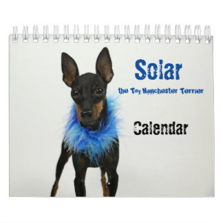 Calendário Manchester Terrier Small Calendar 2021 B