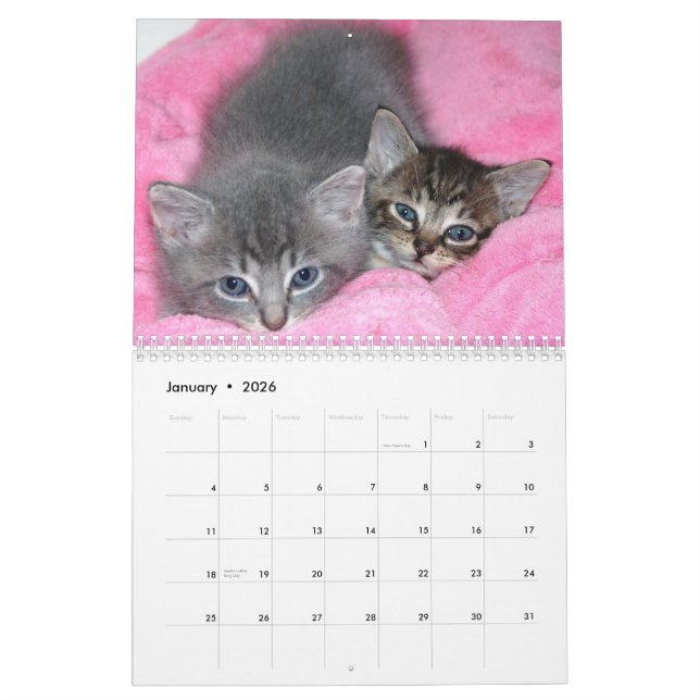 Calendário Manx do milagre famoso (Jan 2026)