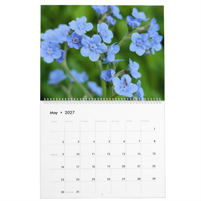 Calendário Maravilhas de Flores Silvestres – Um Ano de Beleza (Maio 2027)