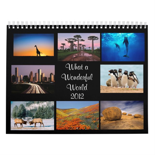 Calendário maravilhoso do mundo 2012 (Capa)