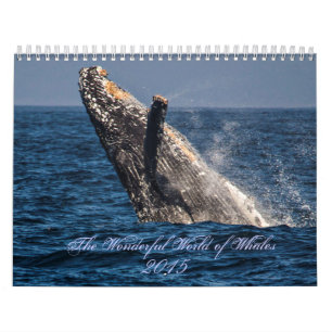 Calendário Maravilhoso Mundo das Baleias 2015 Calender