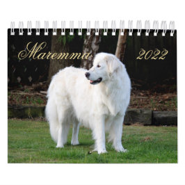 Calendário Maremma sheepdog 2022 Pequeno Calendário, Branco