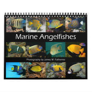 Calendário Marine Angelfishes Wall Calendar de J.W. Pai