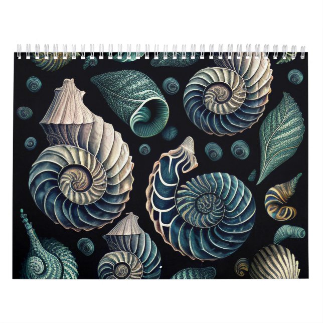 Calendário Marine Treasures (Capa)