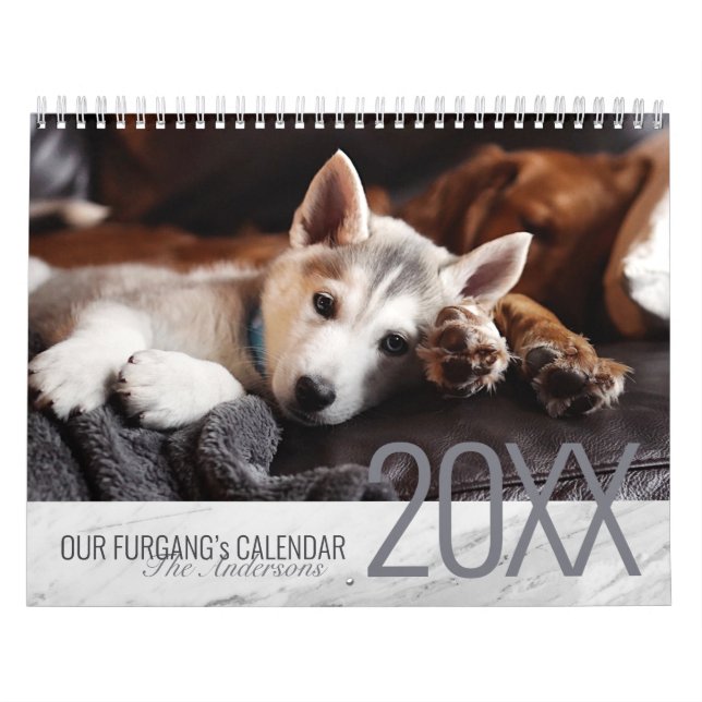 Calendário Mármore Branco Moderno - Foto Pet Personalizada de (Capa)
