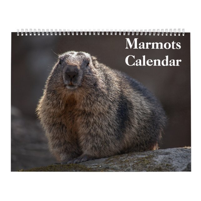 Calendário Marmots 2025 (Capa)