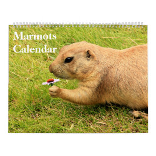 Calendário Marmots 2025