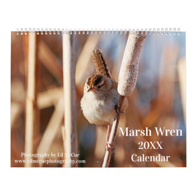 Calendário Marsh Wren (Capa)