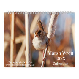 Calendário Marsh Wren