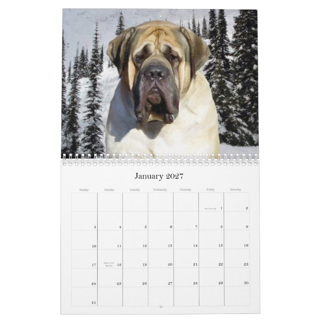 Calendário Mastiff (Jan 2027)