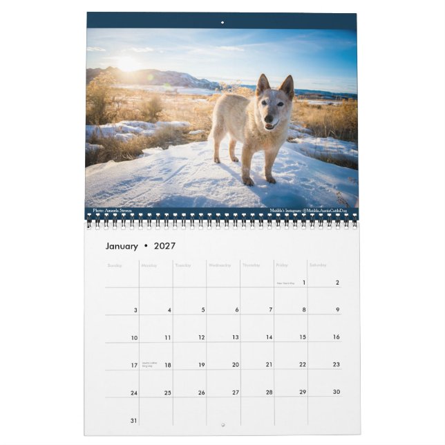 Calendário Matilda, Love e Light 2021 (Jan 2027)