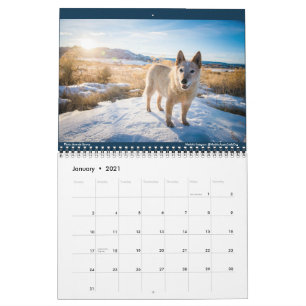 Calendário Matilda, Love e Light 2021