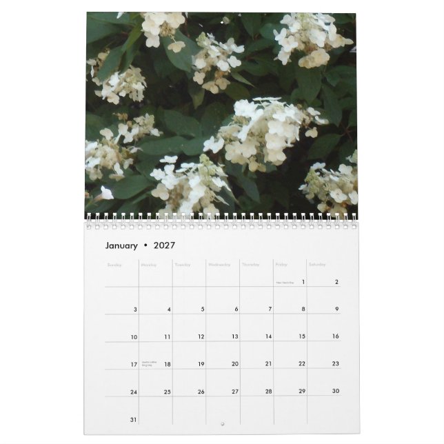 Calendário Matiz 2013 do Hydrangea (Jan 2027)