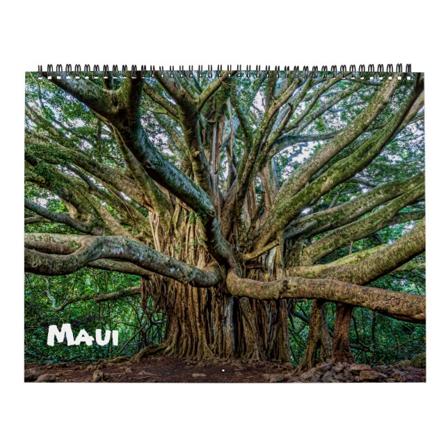 Calendário Maui Espetacular (Capa)