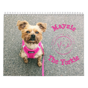 Calendário Mayzie IV (Estilo 2024)