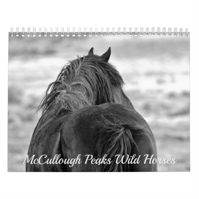 Calendário McCullough Peaks Cavalos Selvagens (Capa)