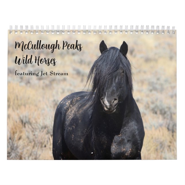 Calendário McCullough Peaks Cavalos Selvagens (Capa)